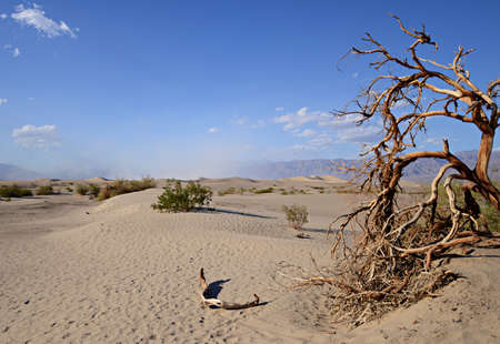 Sand Dunes Death Valleyの写真素材