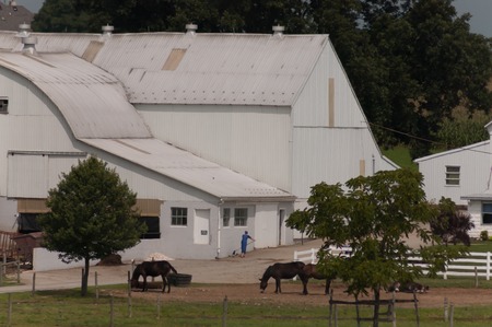 Amish White Farm with Woman Working Horses on a Sunny Dayの写真素材