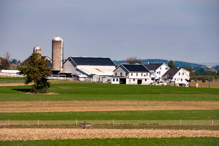 Amish Farm on Sunny Cloudless Summer Dayの写真素材