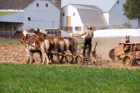 Amish Man Harvesting the Field on a autnum sunny dayの写真素材