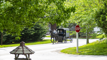 Amish Horse and Buggy going down the Road on a Sunny Dayの写真素材