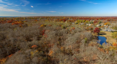 Aerial View of Autumn Trees and Foliage on Long Island as Seen by a Drone on a Sunny Dayの写真素材