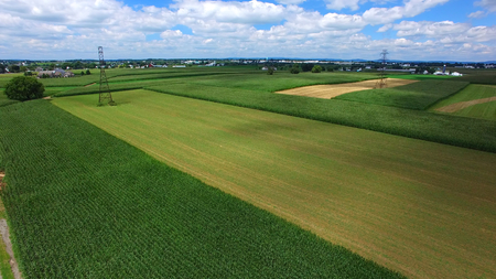 Aerial View of Amish Farm Countryside in Autumn from a Droneの写真素材