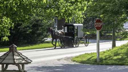 Amish Horse and Buggy Traveling on a Residential Road on a Summer Dayの写真素材