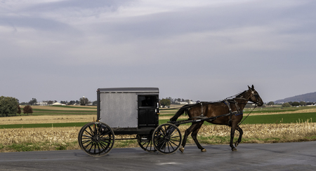 Amish Horse and Buggy Traveling on a Residential Road on a Summer Dayの写真素材