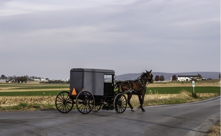 Amish Horse and Buggy Traveling on a Residential Road on a Summer Dayの写真素材