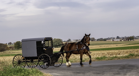 Amish Horse and Buggy Traveling on a Residential Road on a Summer Dayの写真素材