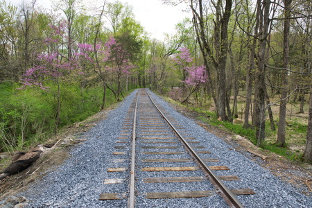 New Rail Road Track on 1830's Right of Wayの写真素材
