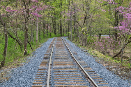 New Rail Road Track on 1830's Right of Wayの写真素材