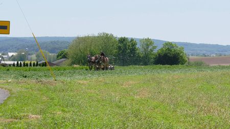 Amish Farmer Harvesting His Crop with 4 Horses and Modern Equipmentの写真素材