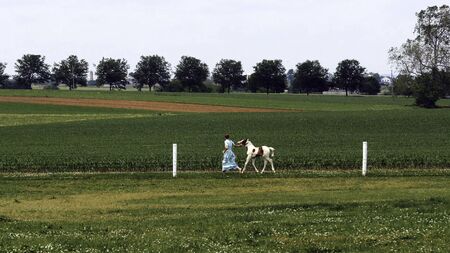 An Amish Girl Teaching a New Young Painted Horse to Runの写真素材