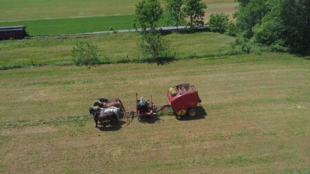 Aerial View of an Amish Farmer Harvesting His Crop with 4 Horses and Modern Equipmentの写真素材
