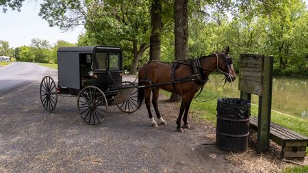 Horse and Buggy Waiting for it's Owner tied up Parkedの写真素材