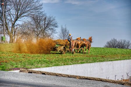 4 Horses Pulling an Antique Amish Manure Spreader so Farmer can Fertilize the Field on a Blue Sky Dayの写真素材