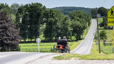 Amish Open Horse and Buggy with 2 Amish Adults in it trotting down the Hill on a Sunny Dayの写真素材