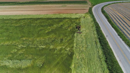 An aerial shot of donkeys pulling farming equipmentの写真素材