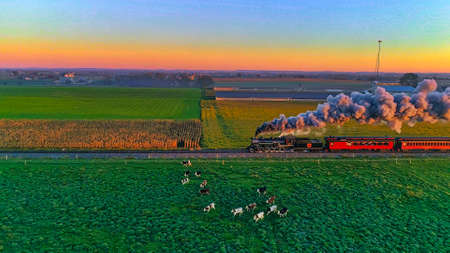 Strasburg, Pennsylvania, October 2020 - Aerial View of Steam Passenger Train at Sunrise Traveling Thru Amish Countryside with Cows Running awayのeditorial素材