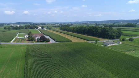 Aerial View of Green Farmlands With Different Crops Growing in the Fields on a Sunny Dayの写真素材