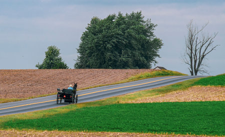 Amish Horse and Buggy Going Up a Hill on a Country Road on a Partly Cloudy Dayの写真素材