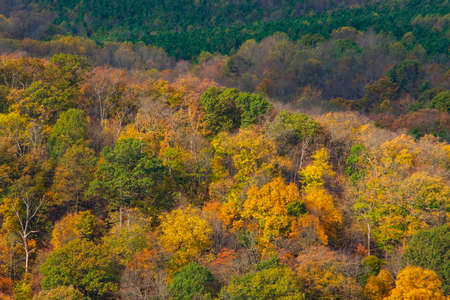 Autumn Foliage Colors in Trees and Farmlands by a River on a Sunny Partly Cloudy Dayの写真素材