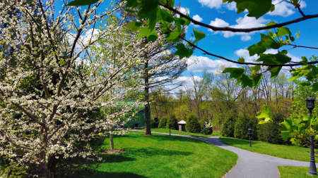 View of Beautifully Blooming Trees and Plants and Unique Structures on a Spring Dayの写真素材