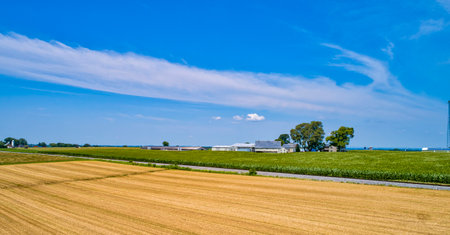 Aerial View of Farmlands and a Railroad Track, With Corn and Wheat Fields on a Beautiful Sunny Dayの写真素材