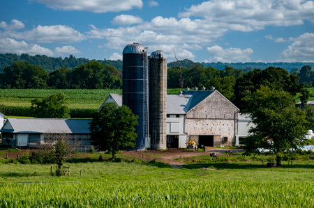 A View of Farmlands with Fields of Corn and Alfalfa, Barns and Silos on a Sunny Summer Dayの写真素材