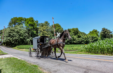 View of An Amish Horse and Carriage Traveling Down a Rural Country Road After Crossing a Rail Road...