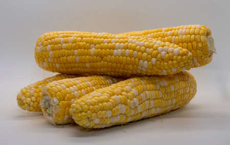 A Table Top View of Corn on the Cob, With a White Background, Sitting on the Tableの写真素材