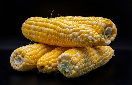 A Table Top View of Corn on the Cob, Whit a Black Background, Sitting on the Tableの写真素材