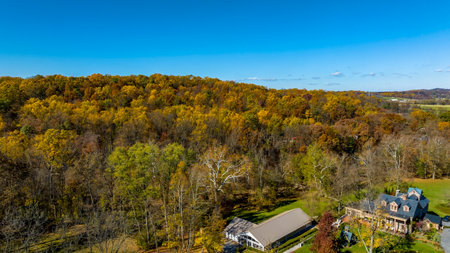 An Area View of a Autumn Hillside of Orange and Yellow Trees, on a Sunny Fall Dayの写真素材