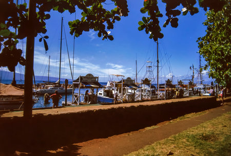 Lahaina, Maui, Hawaii, June 2, 1986 - Old Slide of Tourist and Fishing Harbor in Lahaina Harbor, on a Beautiful Sunny Summer Dayのeditorial素材