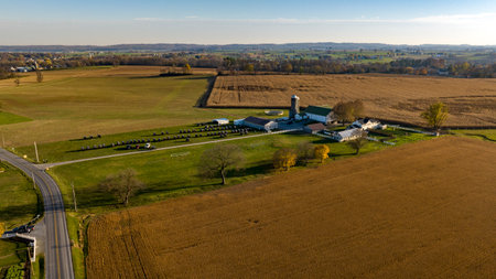 Capturing the essence of harvest time, this aerial view shows a sprawling farm with fields ready for harvest, a snapshot of agricultural life and the changing seasons.の写真素材