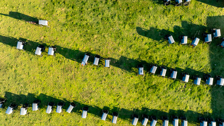 From the sky, the orderly arrangement of buggies casts long shadows on the grass, evoking a sense of...