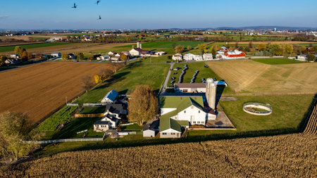 Ronks, Pennsylvania, November 7, 2023 - Birds soar above a farm ready for harvest, with neat rows of crops and farm buildings nestled in a lush rural landscape, as viewed from the sky at sunset. having an Amish weddingのeditorial素材
