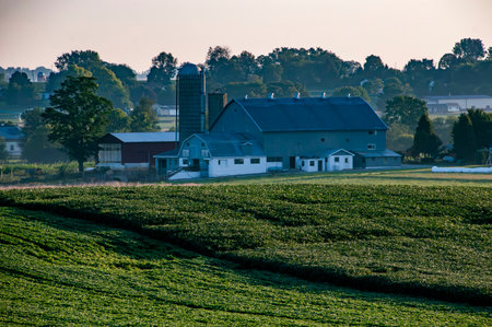 Ronks, Pennsylvania, USA, August 20, 2023 - The day awakens over a classic farmstead, with barns and silos standing tall amidst the fields, a picturesque setting for stories of agriculture, heritage, and rural community.のeditorial素材