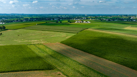 An Expansive Farmland with Rows of Crops and Barns
