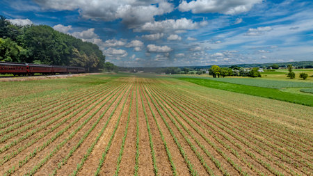 A Red Passenger Train Travels Along The Edge Of A Verdant Field With Rows Of Newly Sprouting Crops, Set Against A Vast Blue Sky Dotted With Puffy White Clouds, Creating A Picturesque Countryside Scene.の写真素材
