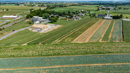 A sweeping view of vibrant farmland showcases neatly arranged crops, a construction site, and a...