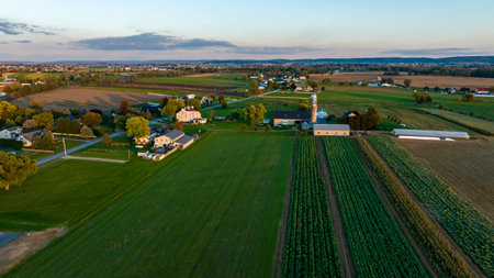 The view captures a peaceful rural community with expansive fields, scattered homes, and a silvery sunset. The rich greenery and orderly agricultural layout highlight the area serenity.の写真素材
