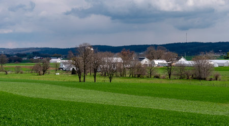 A vast landscape features lush green fields and a rural farm with several buildings, set against a cloudy sky. The scene captures the essence of early spring in the countryside.の写真素材