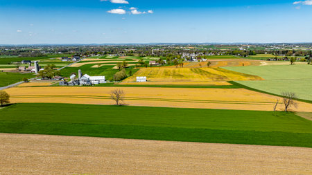 The view captures a vast agricultural landscape with green and golden fields, scattered farms, and...
