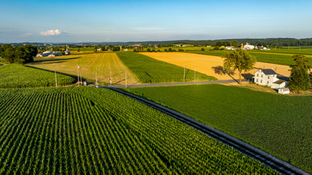 Lush green and golden fields stretch across the landscape under a clear blue sky. A quaint farmhouse...