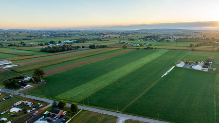 An aerial view of wide-open farmland under a golden sunset, showcasing green fields interspersed with crops and small houses in a tranquil rural setting.の写真素材