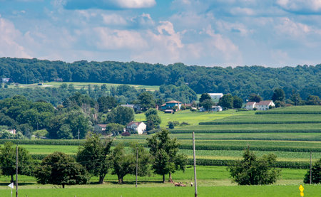 Expansive green fields stretch across the landscape, dotted with quaint homes and surrounded by...