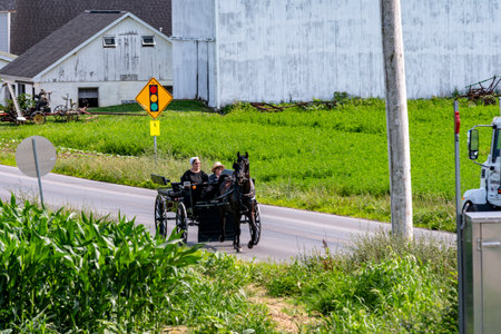 Two individuals enjoy a leisurely ride in a horse-drawn carriage on a rural road surrounded by greenery. A warning sign indicates the presence of oncoming traffic.の写真素材