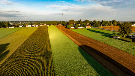Expansive farmland showcases vibrant crop rows in various shades of green and brown under a bright...