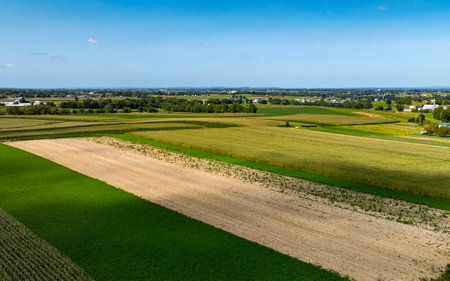 Vast expanses of green and golden crops cover the rural landscape. A mix of fields creates a patchwork effect against a bright blue sky, hinting at a productive agricultural area.の写真素材