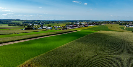 Expansive fields of vibrant green crops stretch across the landscape, with a quaint town visible in the distance under a clear blue sky on a sunny day.の写真素材