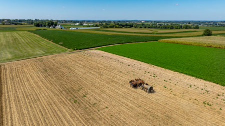 Horse Pulled Worker Uses Manure for agricultural equipment in a sprawling field. The landscape features rows of crops and a clear sky during daytime in summer.の写真素材